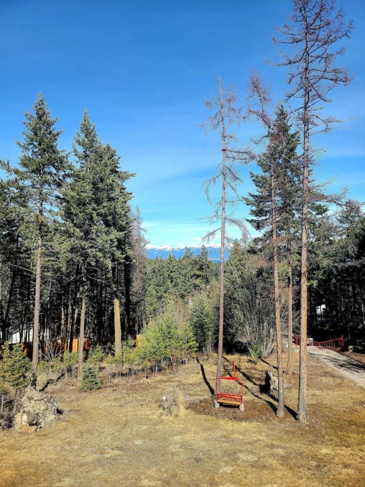 Blacktail Cabin Hideaway With Hot Tub Lakeside Dış mekan fotoğraf